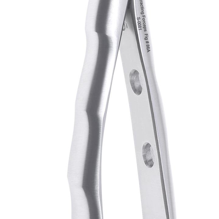 Lower Molar Cow Horn Forceps Fig #86A